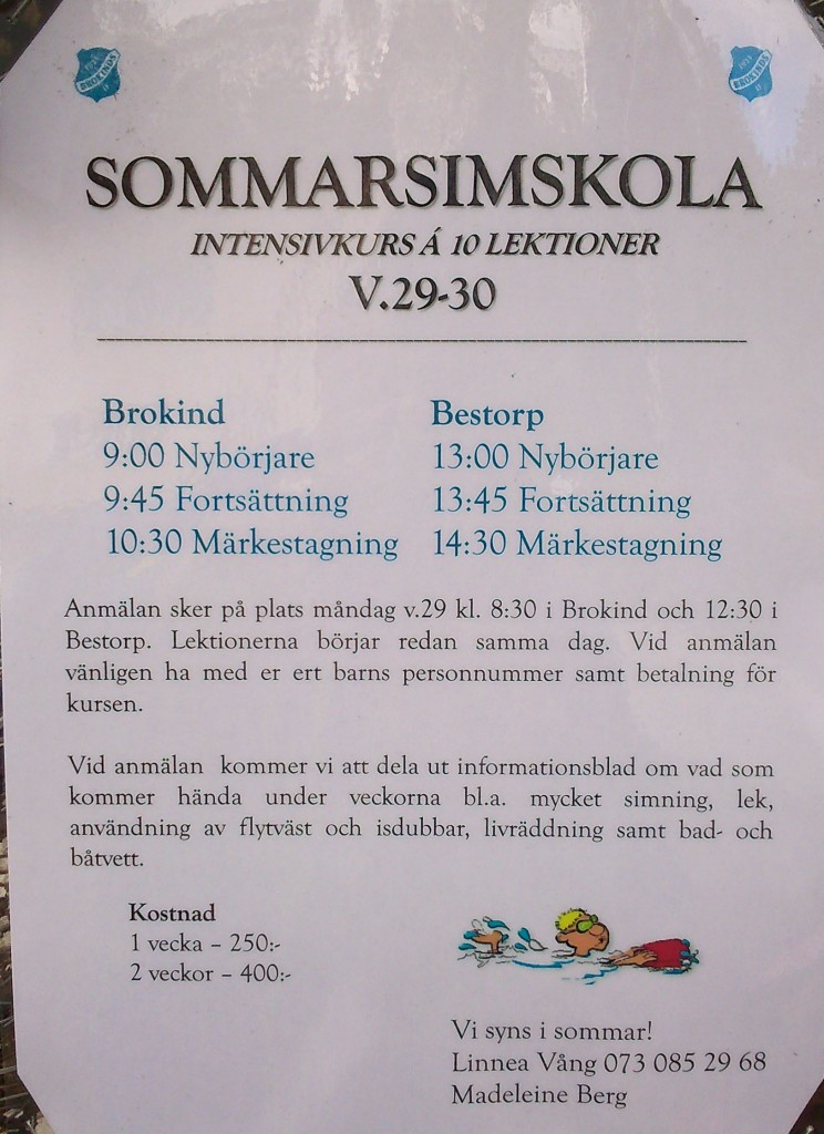 simskolan 2014